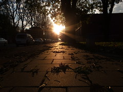 sidewalk sunset 