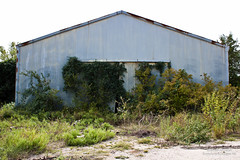 Abandoned Rogers Delinted Cottonseed - Farmersville