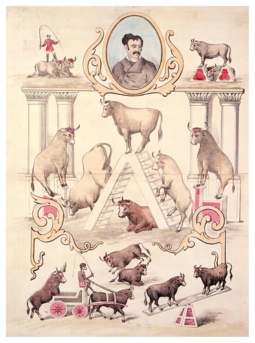 003-Circo Price- cuatro toros amaestrados-1884-Copyright Biblioteca Nacional de España