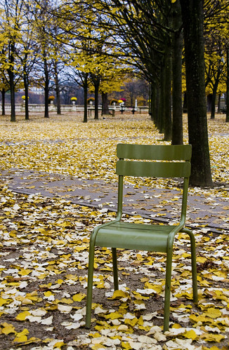 Autumnal chair