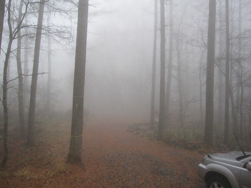 だんだん霧が濃くなります・・2012.11.23 by Poran111