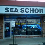Sea Schor