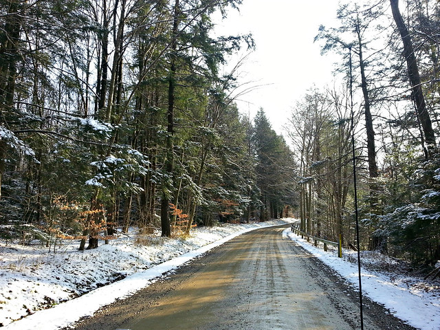 snowy-back-roads