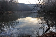 sweetwater creek state park  douglas county georgia
