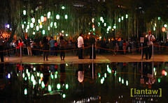 Ayala Enchanting Lights and Sound Show 2012