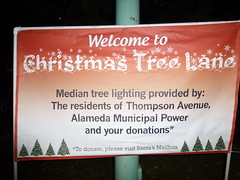 2012-12-07 - Christmas Tree Lane in Alameda