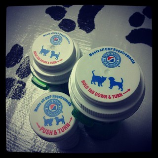 Lola's meds... #dogs #dogstagram