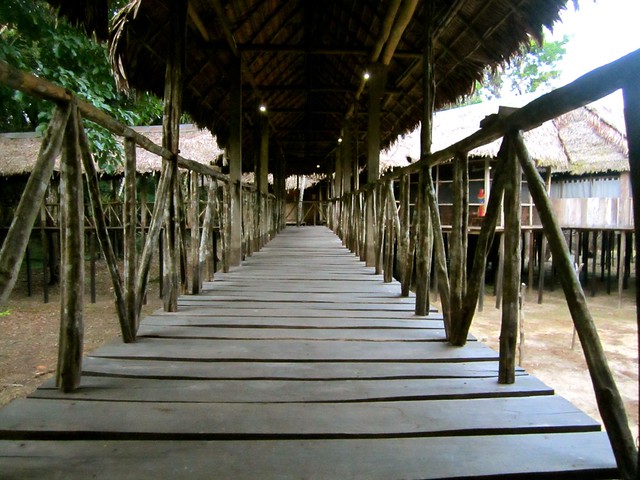 Tahuayo Lodge-boardwalk-amazon-jungle