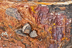 Summer Trip 2012 08-22 (Scenic Byway 12, Petrified Forest)