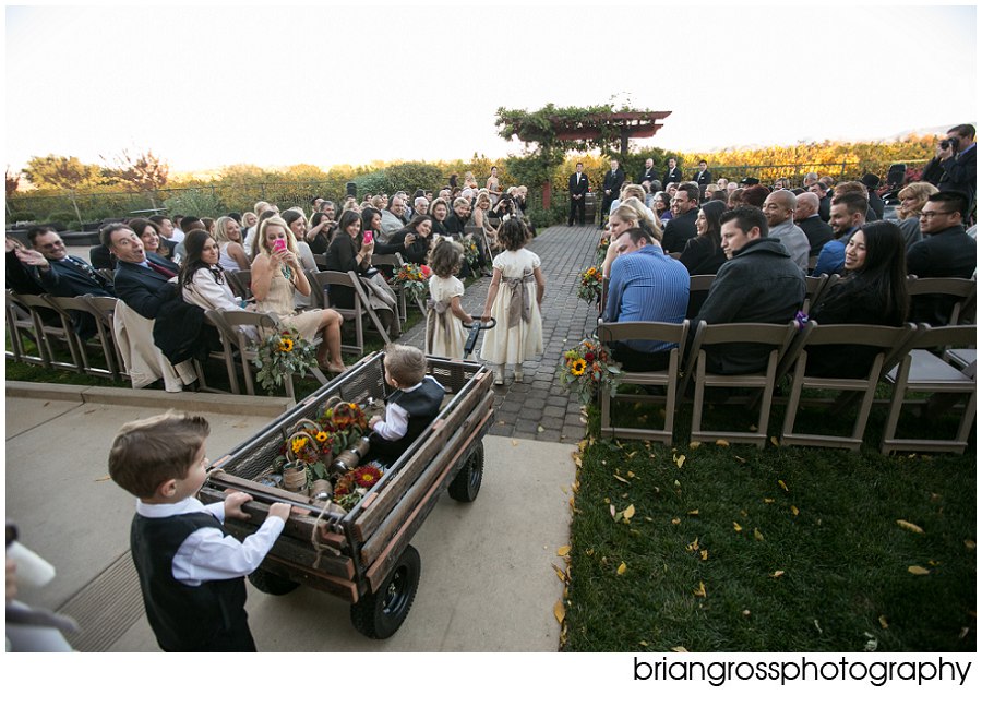 Jori_Justin_Palm_Event_Center_Wedding_BrianGrossPhotography-227_WEB