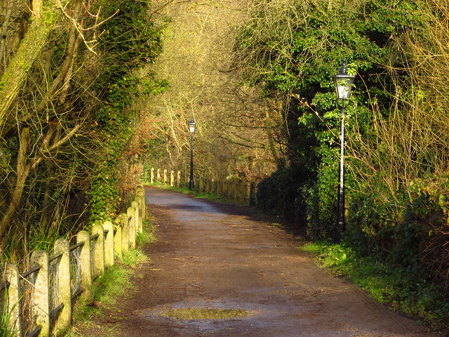 Path at the Vale of Health Pond