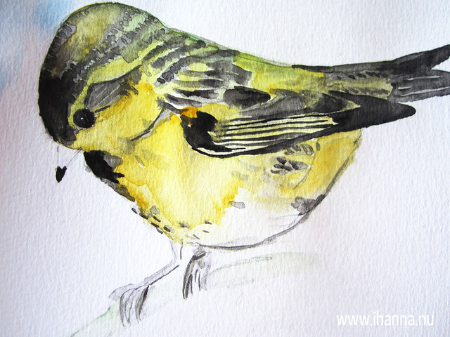 Yellow Bird Friend