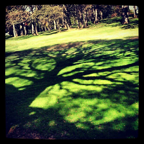 Worldtree shadow