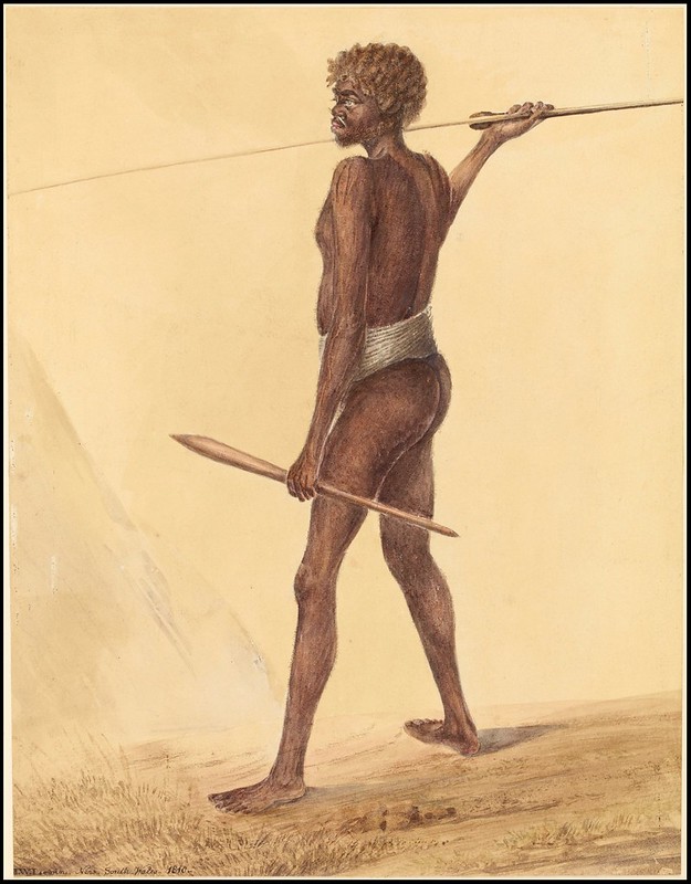 watercolour sketch of native Australian male carrying spear and woomera (spear-thrower)