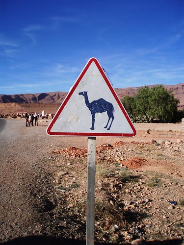 Camel sign in Morocco