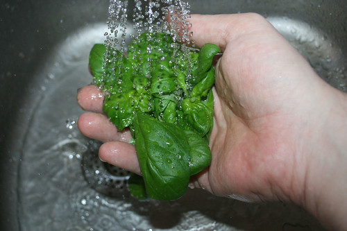 25 - Basilikum waschen / Wash basil