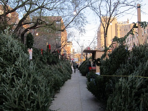Christmas trees, Second Avenue