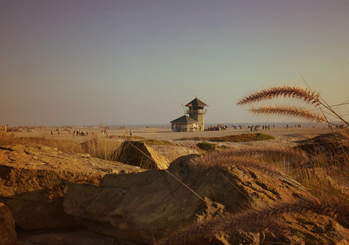 Coronado Beach by Vilma Salazar