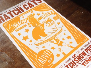 Hatch Cats letterpress poster