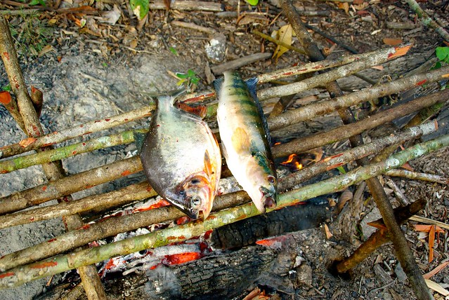 peru-amazon-fish-over-fire