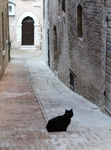 Urbino by kiara 78