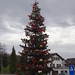 Weihnachtsbaum in Oberwil-Lieli