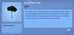 Stone Pine Tree