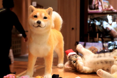 Dog & Cat Doll - GINZA Illumination2012
