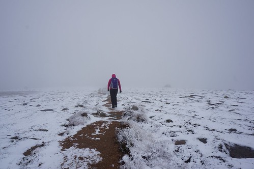 Emily heading into winter in the Cairngorms, Bynack More