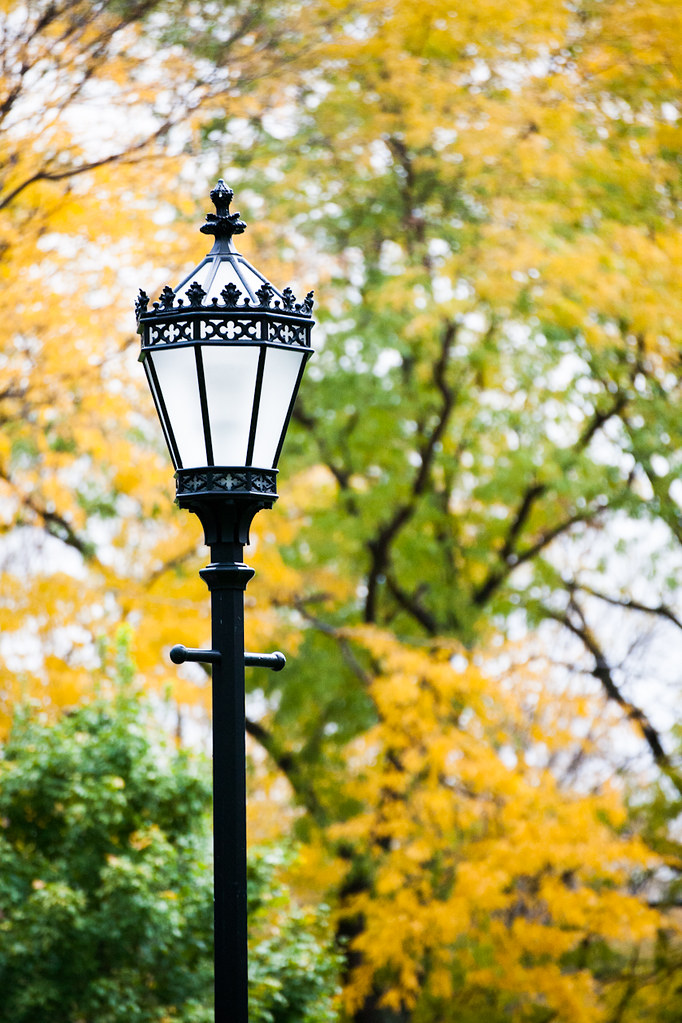 Fall Lamps