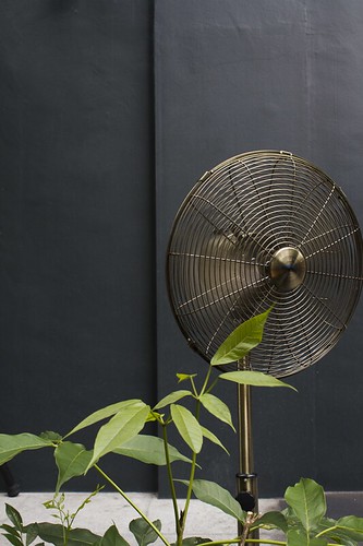 outdoor fan, singapore
