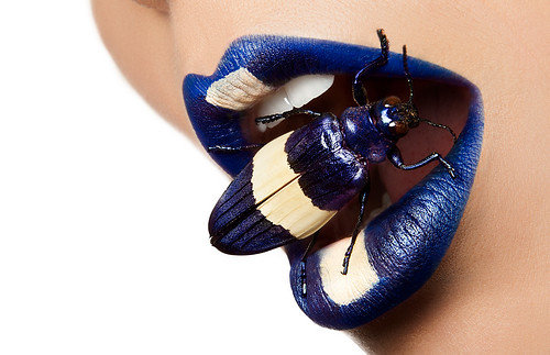 Beetle Beauty by aknacer