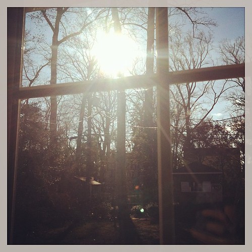 Praise God for the sun shining after many dreary days! #1000gifts