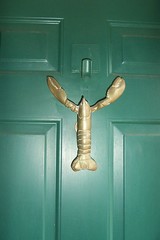 Brass Lobster Doorknocker which collects cobwebs that I don't normally see.