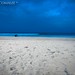 Trincomalee Beach