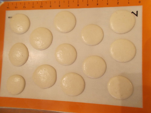 macarons-just piped 2