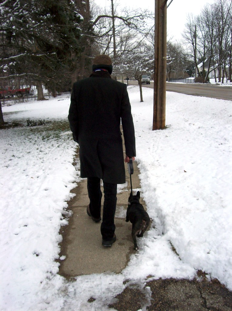 Taking Marley for a snowy walk