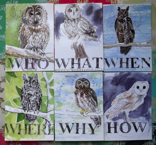 owls_who_what_when