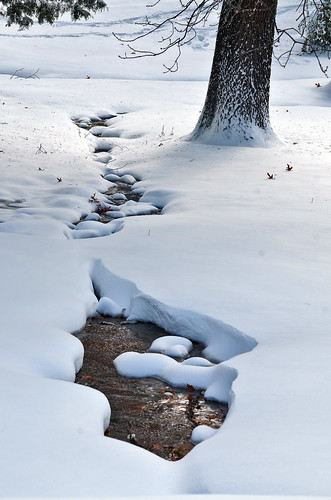 Snowy Stream by Jeka World Photography