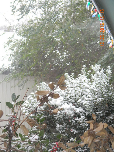 Snow On Christmas! 12-25-2012