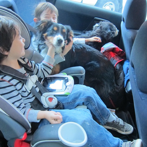 2 kids, 2 dogs and a cat