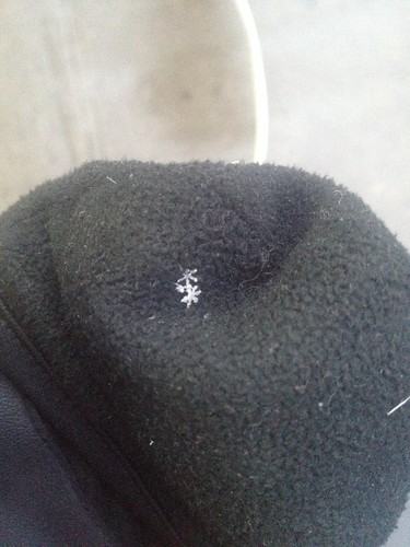 A real snowflake! #happy365 H365/36 by Jenelle Blevins