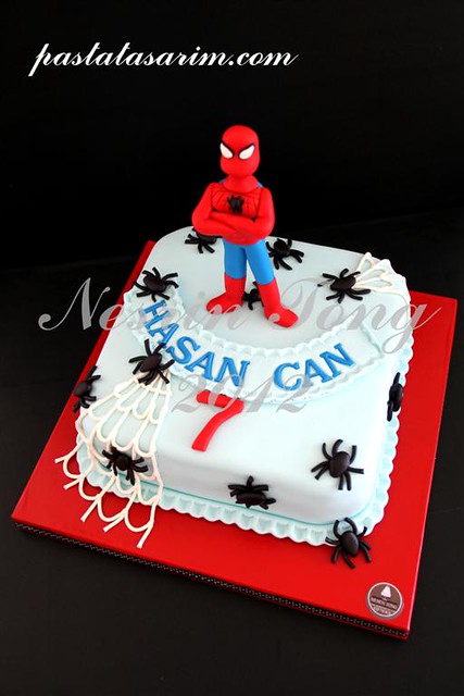 spiderman cake - hasan can (Medium)