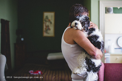 Love is. The Thomaz Boys by twoguineapigs pet photography