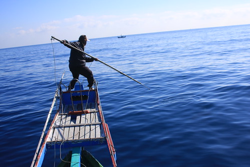 鏢魚是較友善環境的漁法，但技術門檻高，漁獲量也較少，故運用此種漁法的人越來越少。攝影：廖律清