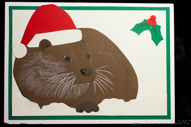 Wishing Everyone an Otter-ly Delightful Christmas
