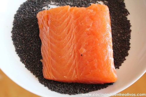 Tataki de salmon en nido de nabo daikon (8)