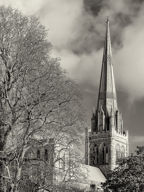 Chichester Cathedral from Bishops Palace Gardens