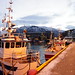 Tromso harbourside (2)