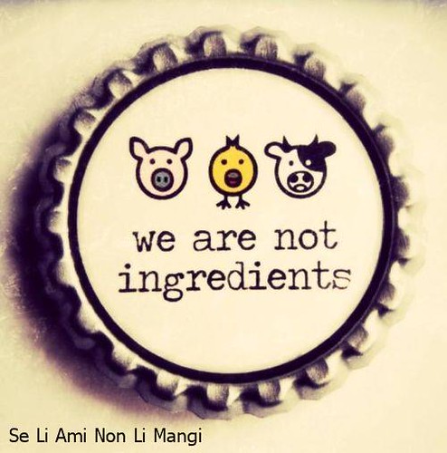 we are not ingredients
